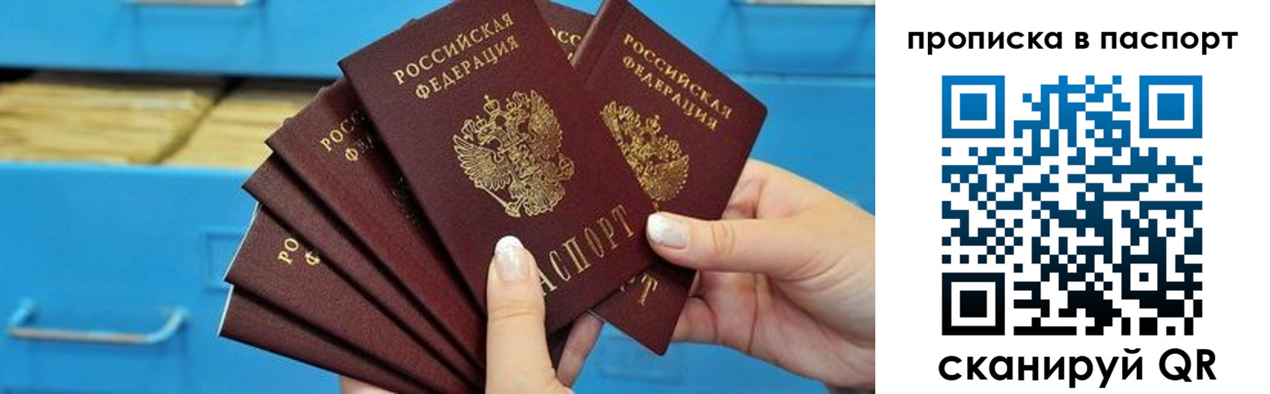 прописка в Клинцах