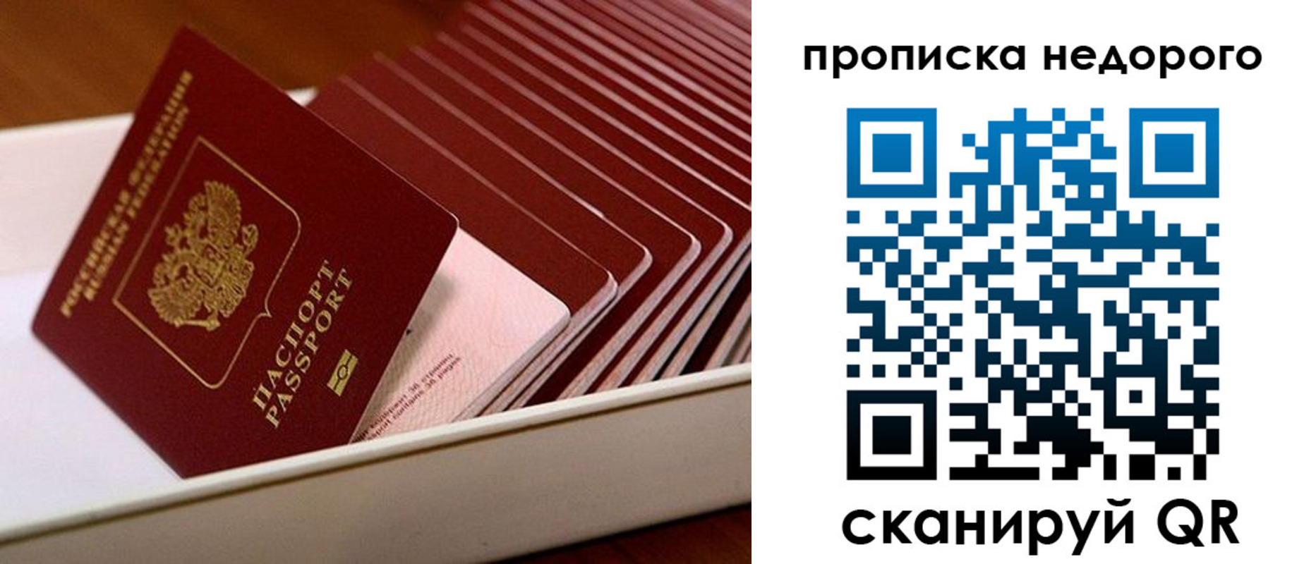 прописка паспорт в Клинцах